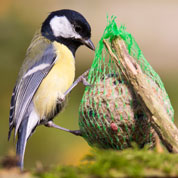 Fat Balls Distributor for Birds